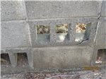サムネイル.3